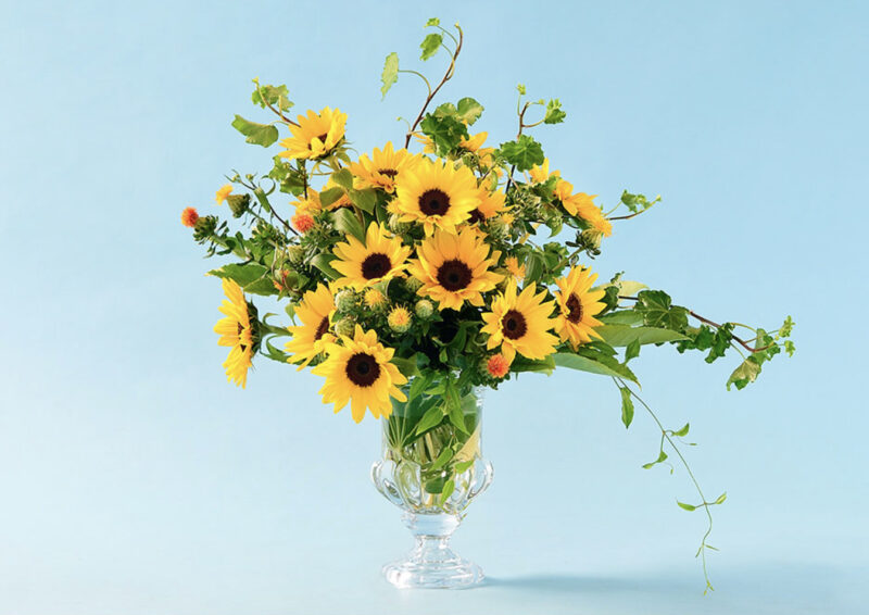 三菱電機株式会社／ビジュアル制作